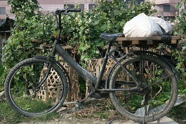 Bicycle in Taipei garden, Taiwan