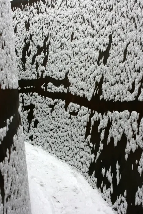 Framed Print : Curved snow, Basel, Switzerland Framed Print : Curved snow, Basel, Switzerland