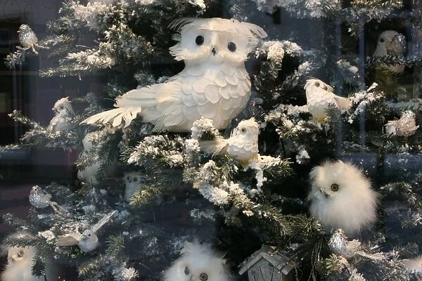 Decorative owl on christmas tree