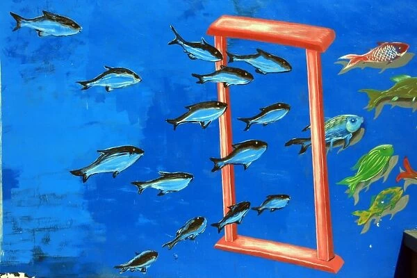Fish swimming through a frame