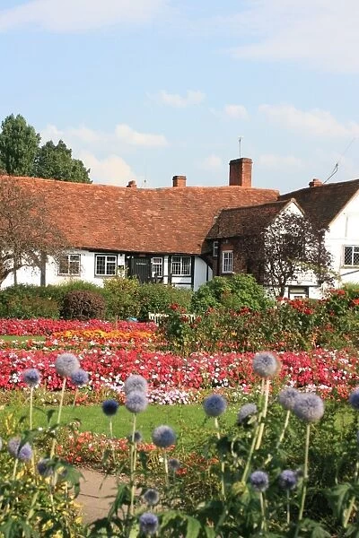Flowerbeds at Amersham, Buckinghamshire