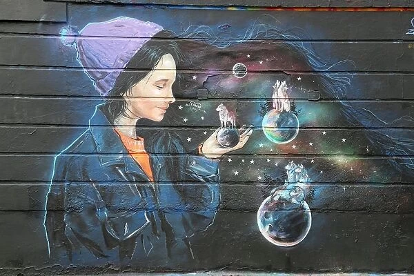 Girl with animals. Artwith animals on balls against wall