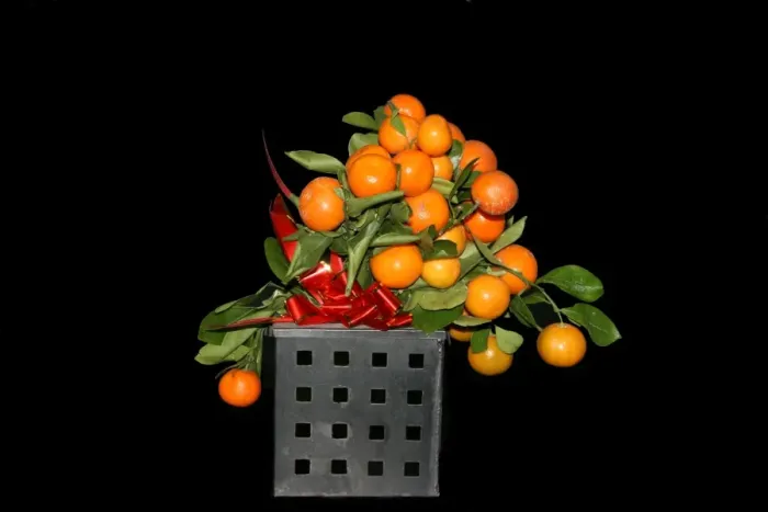Framed Print : Oranges Framed Print : Oranges