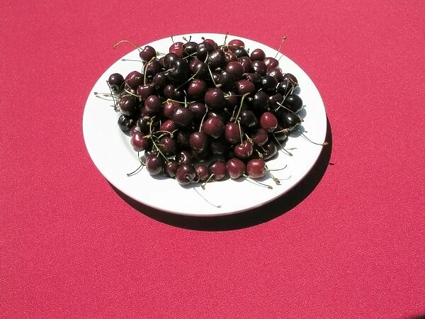 Plate of cherries