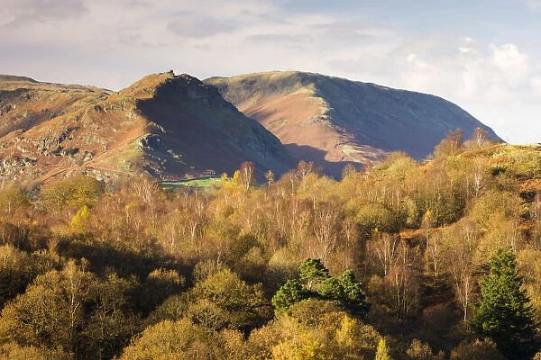 Helm Crag and Steel Fell mountains behind autumnal woodland, Grasmere, Lake District
