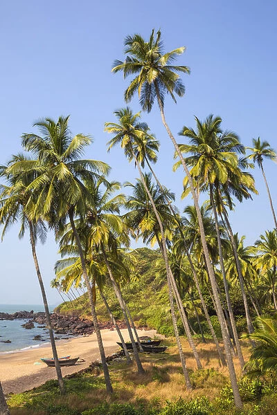 India, Goa, Cola beach