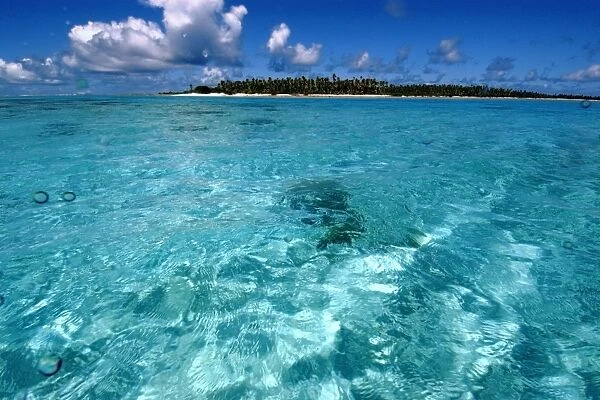 Uninhabited island and turquoise lagoon, Ailuk atoll, Marshall Islands, Pacific (RR)