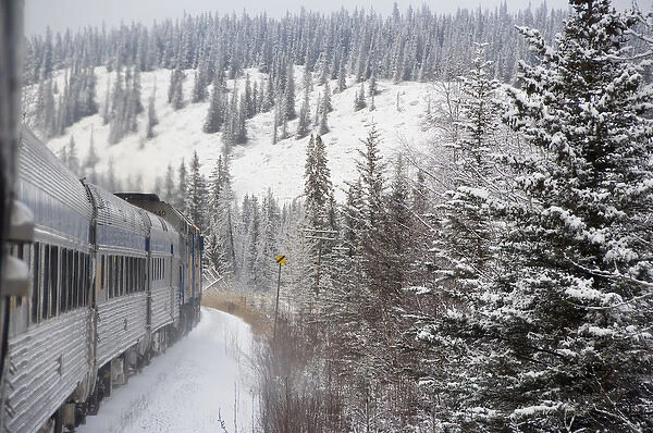 Canada, Alberta. VIA Rail Snow Train between Edmonton & Jasper. Property released