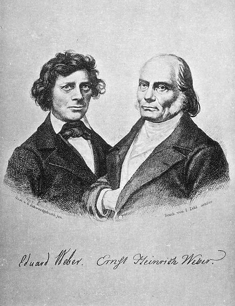 ERNST HEINRICH WEBER (1795-1878). German anatomist and physiologist. With his brother, Wilhelm Eduard Weber (1804-1891), a German physicist. Line engraving, German, 19th century
