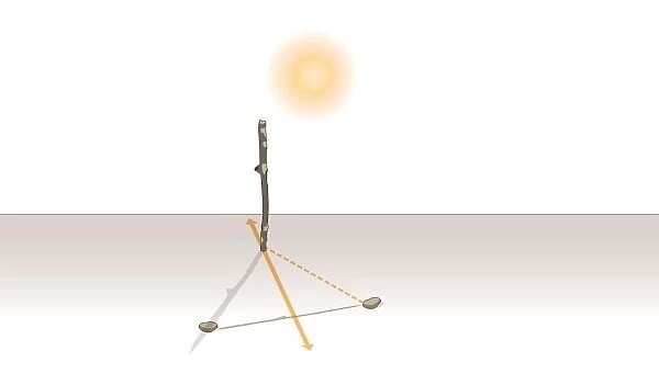 Digital illustration of how to track orientation of the sun using shadow stick and stones