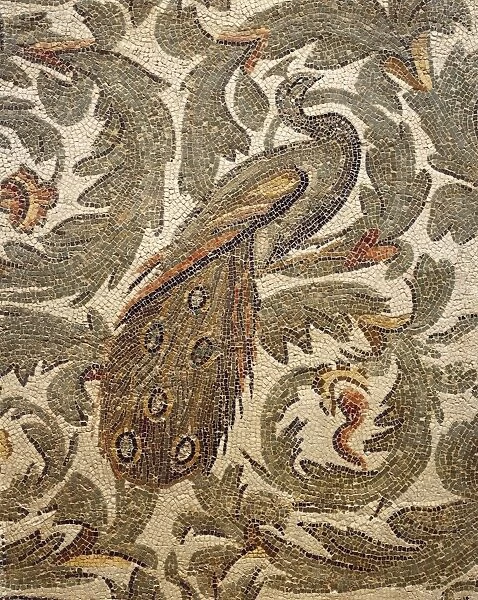 Detail of a mosaic depicting a peacock among acanthus leaves from Thuburbo Majus, Henchir Kasbet, Tunisia, frigidarium of thermal baths