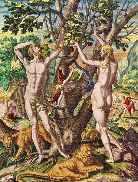Admiranta Narratio... Adam and Eve (page 40), 1585-1588 (colour engraving)