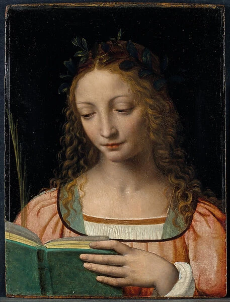 Bust length figure of saint, with a palm and reading the scriptures (oil on panel)