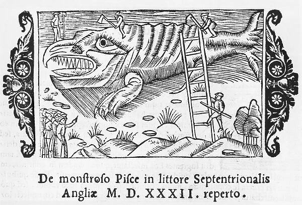 Fish monster, illustration from Historia de Gentibus Septentrionalibus
