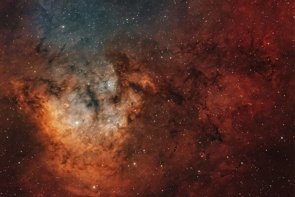 Widefield view of the young star-forming complex NGC 7822