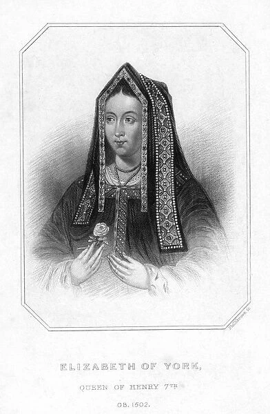 Elizabeth of York, Queen Consort of King Henry VII