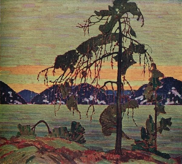 The Jack Pine, 1917. (1925). Artist: Thomas John Thomson