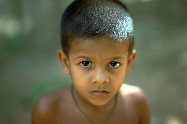 Sri Lankan child. Artist: CM Dixon