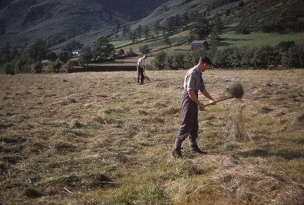 Turning hay by hand, farmer in Longdale Valley, Lake District, c1960. Artist: CM Dixon