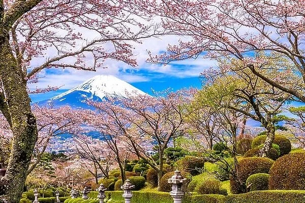 Gotemba City, Japan at Peace Park with Mt. Fuji in spring season