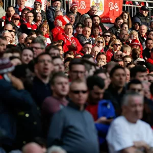 Bristol City Fans Cheering at Wembley Stadium during the Johnstones Paint Trophy Final against Walsall, 2015