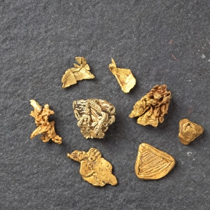 Diverse gold nuggets
