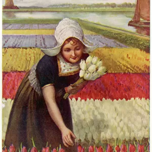 Dutch Girl & Tulips