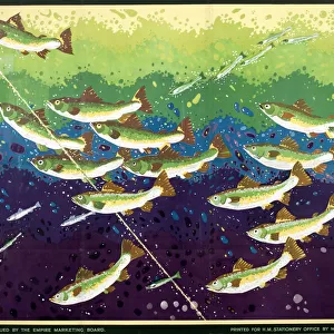 Poster, Salmon Fishing