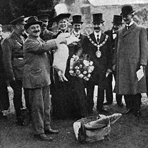 Royal WW1 allotment visit, 1918: Queen Mary and piglet