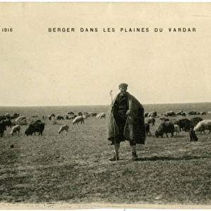 Shepherd on the Plains of Vardar, Macedonia - WW1 era