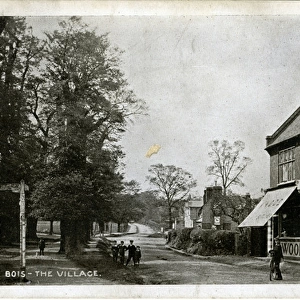 The Village, Theydon Bois, Essex