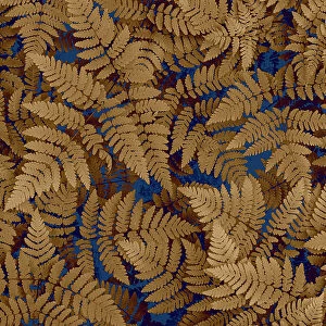 USA, Washington State, Olympic National Forest. Dried oak fern patterns. Date: 26-05-2021