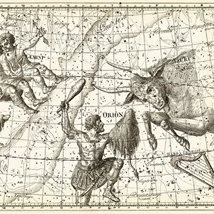 Uranographia constellations, 1801 C013 / 8953