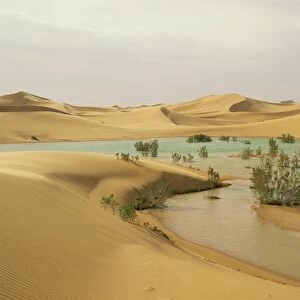 Flood waters in Algerian Sahara, at edge of Grand Erg Occidental, south of El-Golea