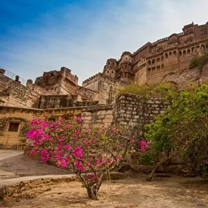 The inner wall of Mehrangarh Fort in Jodhpur, the Blue City, Rajasthan, India, Asia