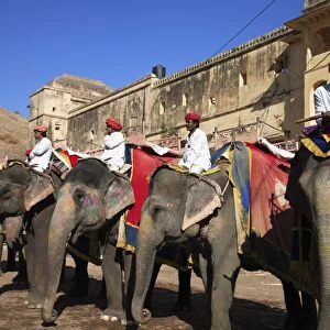 Mahouts and elephants, Amber Fort Palace, Jaipur, Rajasthan, India, Asia