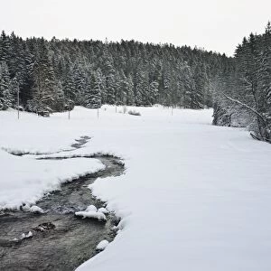 Winter landscape, near Koenigsfeld, Black Forest, Baden-Wurttemberg, Germany, Europe