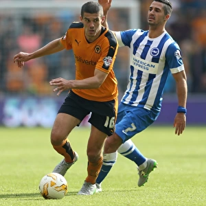Wolverhampton Wanderers Conor Coady Outmaneuvers Brighton's Biram Kayal in Sky Bet Championship Clash at Molineux