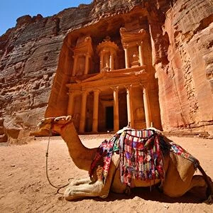 View of the Treasury, Al-Khazneh with camels, Petra, Jordan