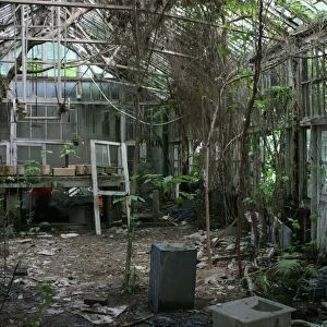 Abandoned greenhouse, National Taiwan University, Taipei, Taiwan