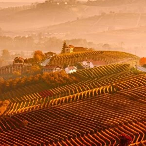 Italy, Piedmont, Cuneo District, Langhe - Autumnal Sunrise