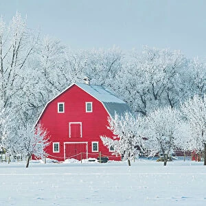 Red barn with rime ice (frost) Grande Pointe Manitoba, Canada