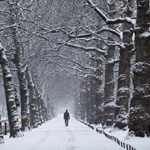 A man walks through the snow in St Jamess Park in central London