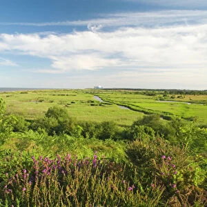 View across Minsmere RSPB Reserve from Dunwich Suffolk July