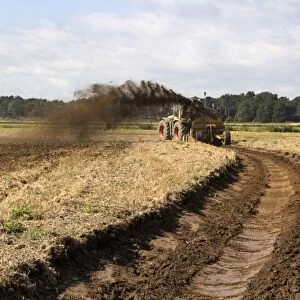 The restoration and creation of wetland habitats on the Holkham Estate for wading birds and waterfowl