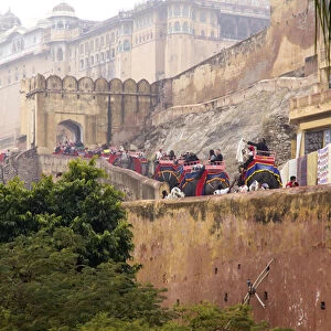 Asia, India, Rajasthan, Jaipur, ride through the main gate of the Amber Fort, on elephants