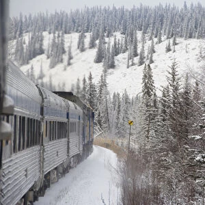 Canada, Alberta. VIA Rail Snow Train between Edmonton & Jasper. Property released