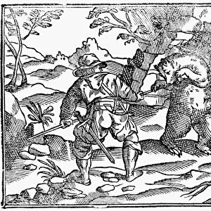 BEAR HUNTING, 1582. Two hunters spearing a bear. Woodcut from the Libro de la Monteria
