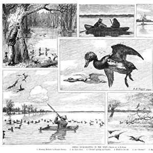 DUCK HUNTING, 1885. Spring Duck-Shooting in the West. Engraving after drawings by A