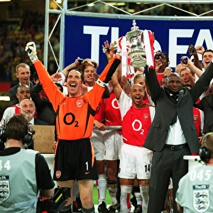 Arsenal's Victorious FA Cup Final: Vieira and Seaman Lift the Trophy over Southampton (1:0), The Millennium Stadium, Cardiff, 2003